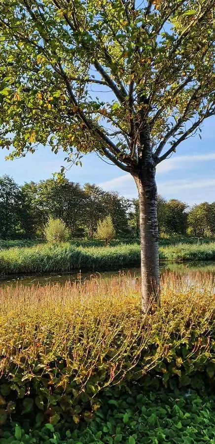 Amberdi Apartment Amsterdam Schiphol Airport Hoofddorp Netherlands